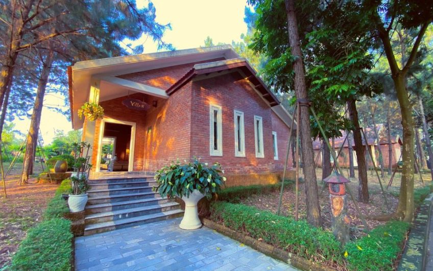 VILLA CỔ ĐIỂN SANG TRỌNG