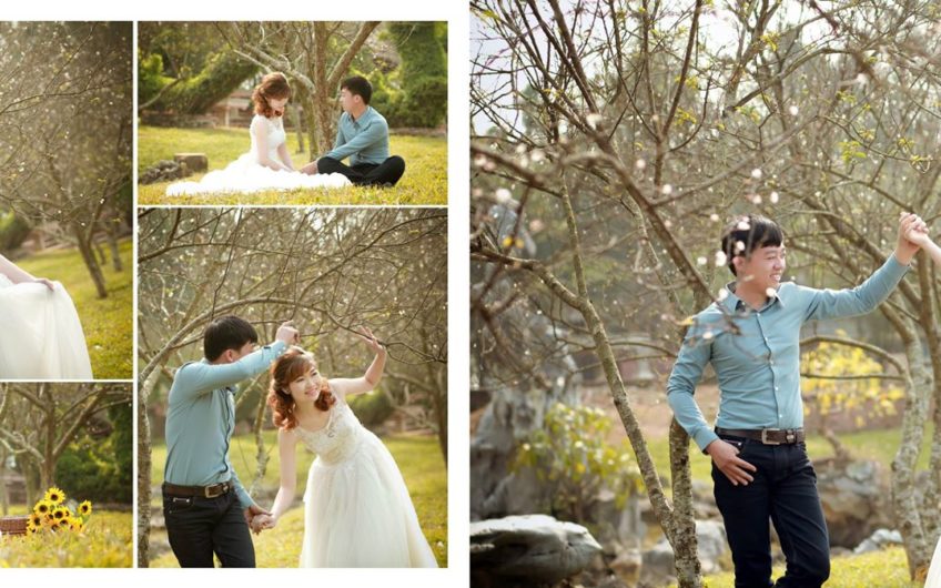 TỔ CHỨC TIỆC CƯỚI TRỌN GÓI
