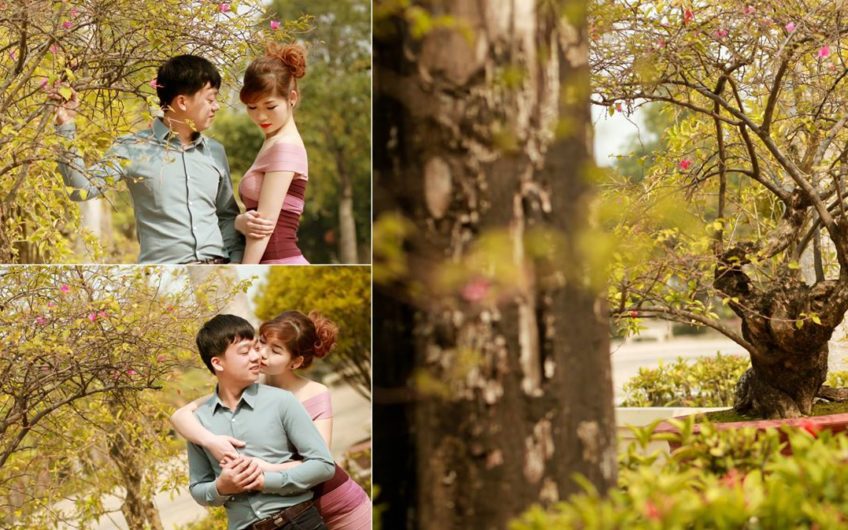 TỔ CHỨC TIỆC CƯỚI TRỌN GÓI