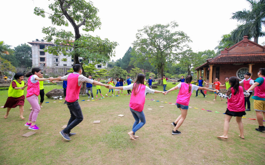 TỔ CHỨC TEAM BUIDING