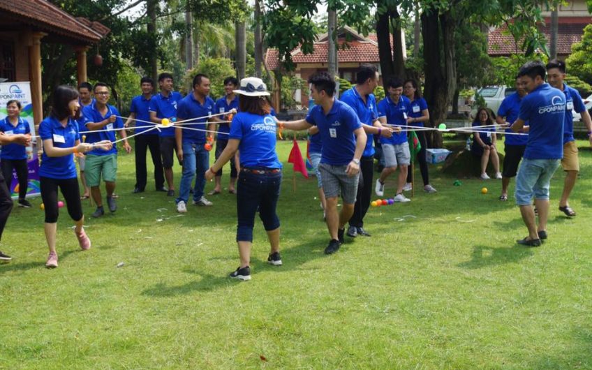 TỔ CHỨC TEAM BUIDING