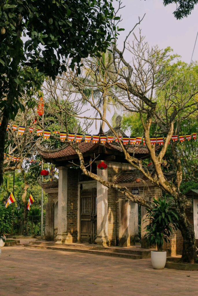gioi-thieu-chua-tay-phuong