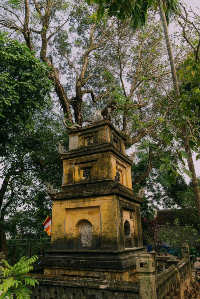 gioi-thieu-chua-tay-phuong